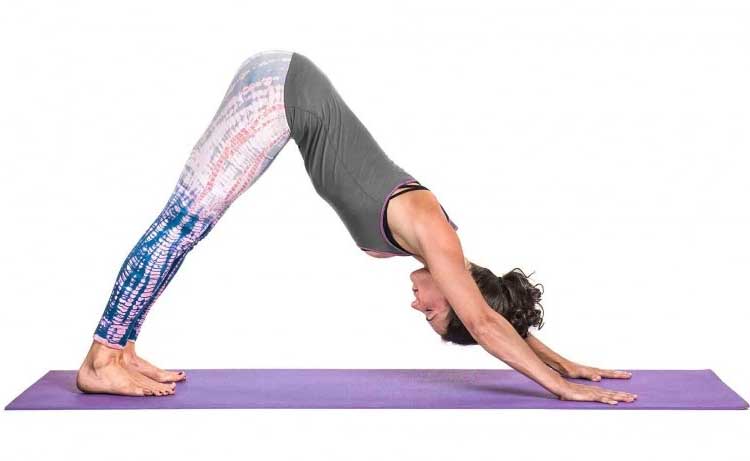 The Benefits Of Flexible With Your Health - Downward-Facing Dog