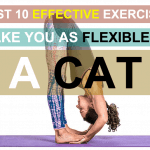 Effective-Exercises-Flexible-Featured
