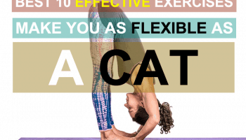 Effective-Exercises-Flexible-Featured
