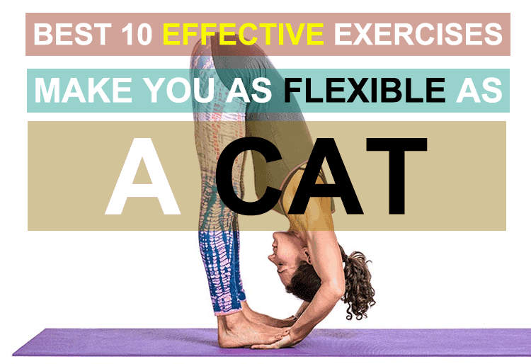 Effective-Exercises-Flexible-Featured