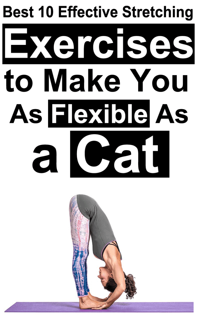 Best 10 Effective Stretching Exercises to Make You As Flexible As a Cat