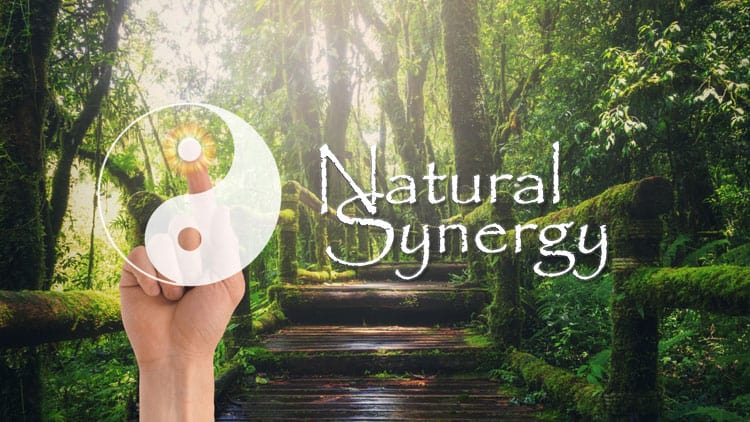 Natural-Synergy-Featured