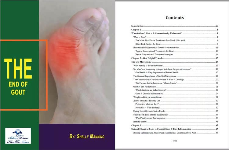 The End Of Gout Review