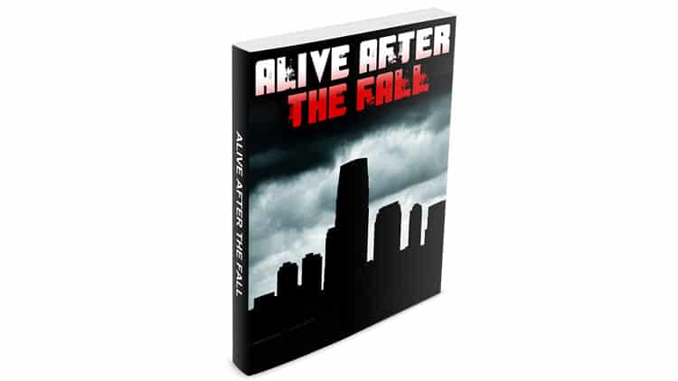 Among the various reviews you have read on Alive After The Fall, this will be the most honest and unobtrusive