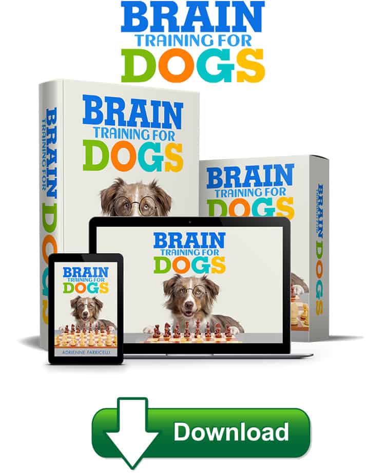 Brain Training for Dogs is a Book that focuses on your animal psychologically. Therefore, you can deal with their bad behaviour by releasing.