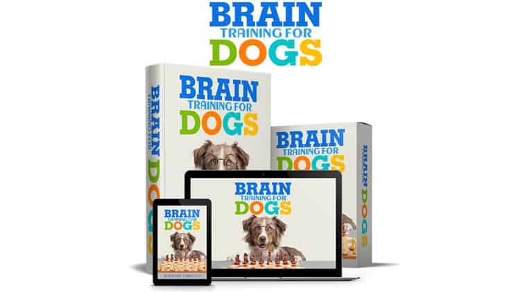 We can tell you that Brain Training for Dogs is an invaluable book that can be used as a training tool and a new way to have fun with my dog