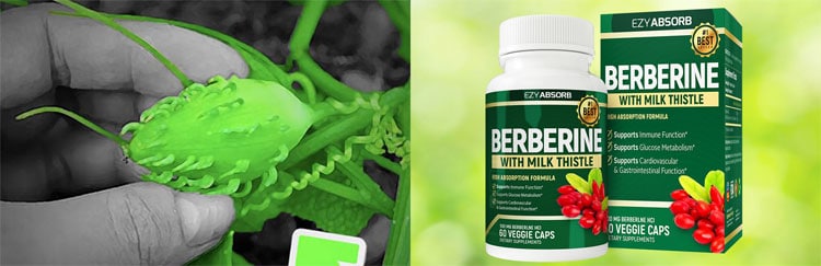 Berberine With Milk Thistle Review