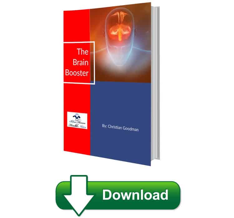 The Brain Booster Program Download