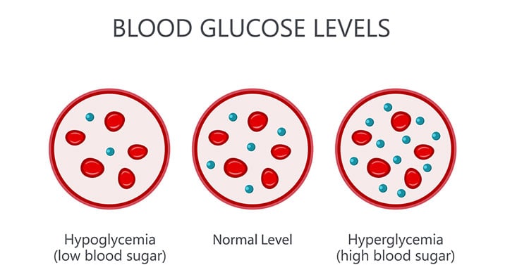 Blood-Glucose-Levels