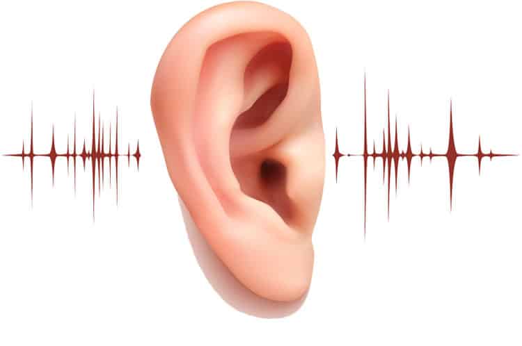 Hearing-Loss-Types
