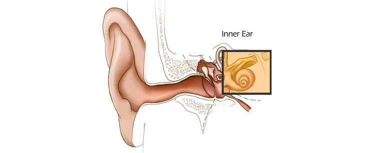 Inner-Ear