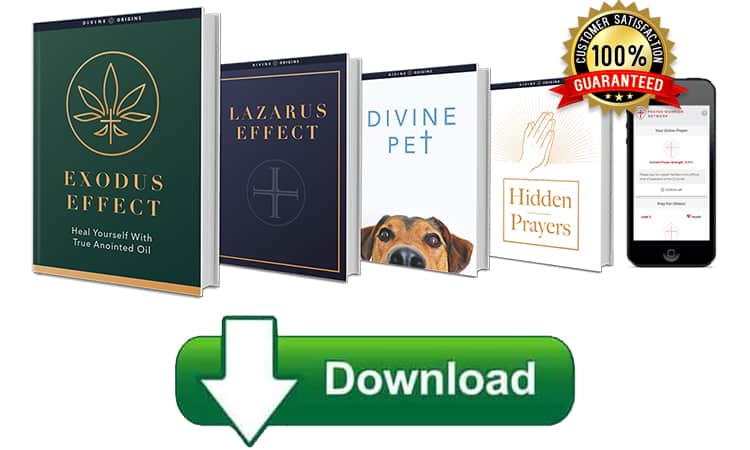Exodus Effect Book Download