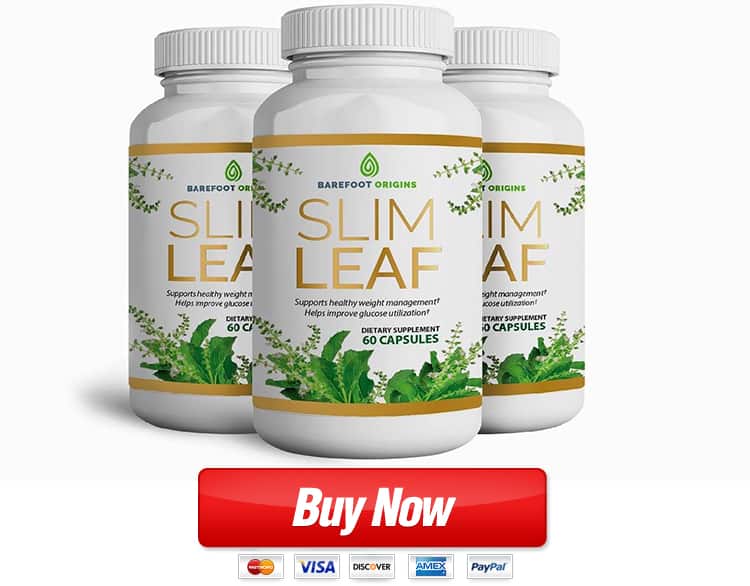 Slim Leaf Where To Buy