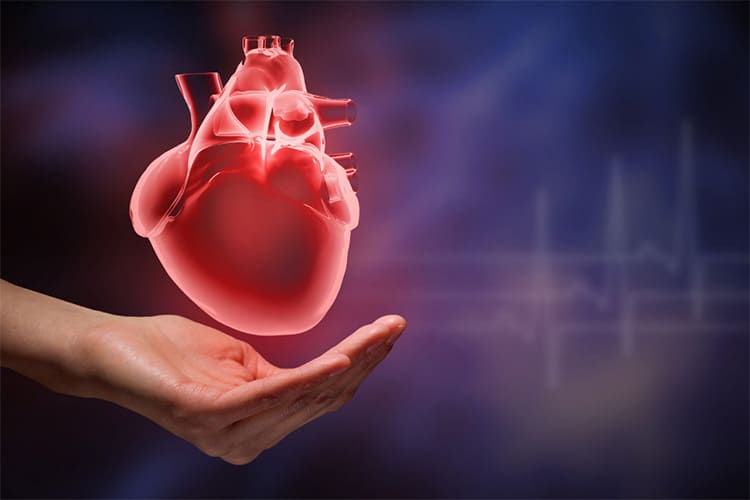 How to improve heart health effectively