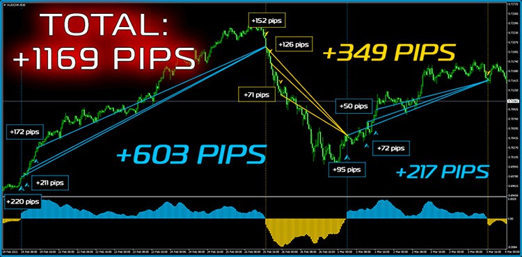 The Amazing Wins on M30 Timeframe