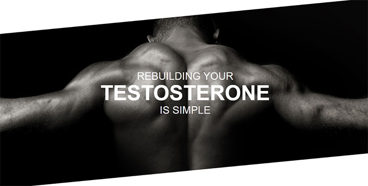 REBUILDING YOUR TESTOSTERONE IS SIMPLE