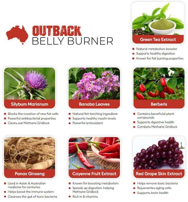 Outback Belly Burner Ingredients