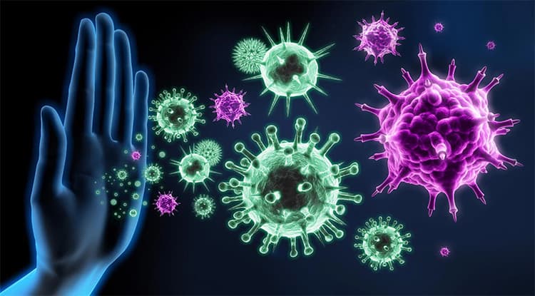 How to Optimize Your Immune System