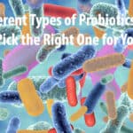 The Different Types of Probiotics and How to Pick the Right One for Your Needs