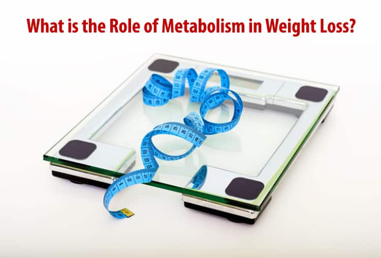 What is the Role of Metabolism in Weight Loss?