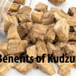 The Benefits of Kudzu Root