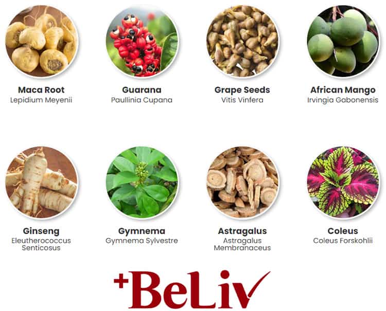 BeLiv Ingredients