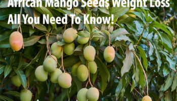 African Mango Seeds Weight Loss : All You Need To Know!