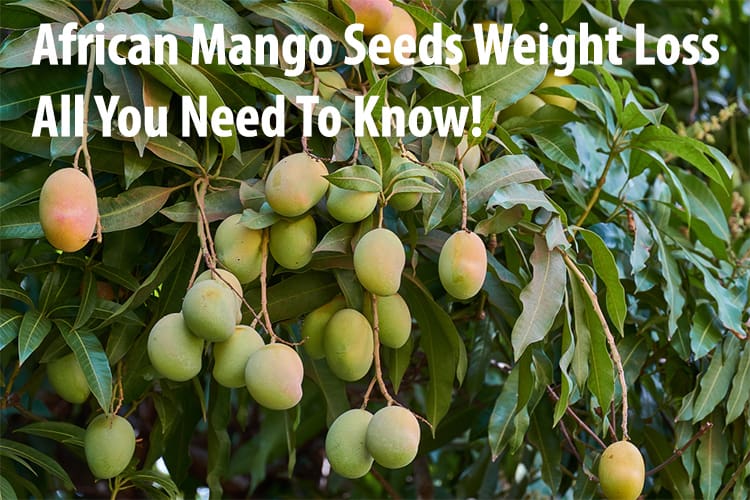 African Mango Seeds Weight Loss : All You Need To Know!