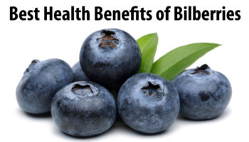 Best Health Benefits of Bilberries