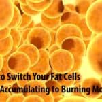 How to Switch Your Fat Cells From Accumulating to Burning Mode
