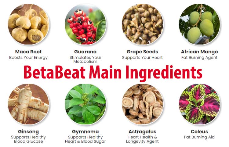 BetaBeat Ingredients