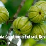 Garcinia Cambogia Extract Reviews - Is it Safe?