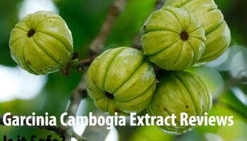 Garcinia Cambogia Extract Reviews - Is it Safe?