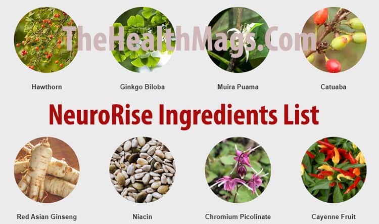 NeuroRise Ingredients