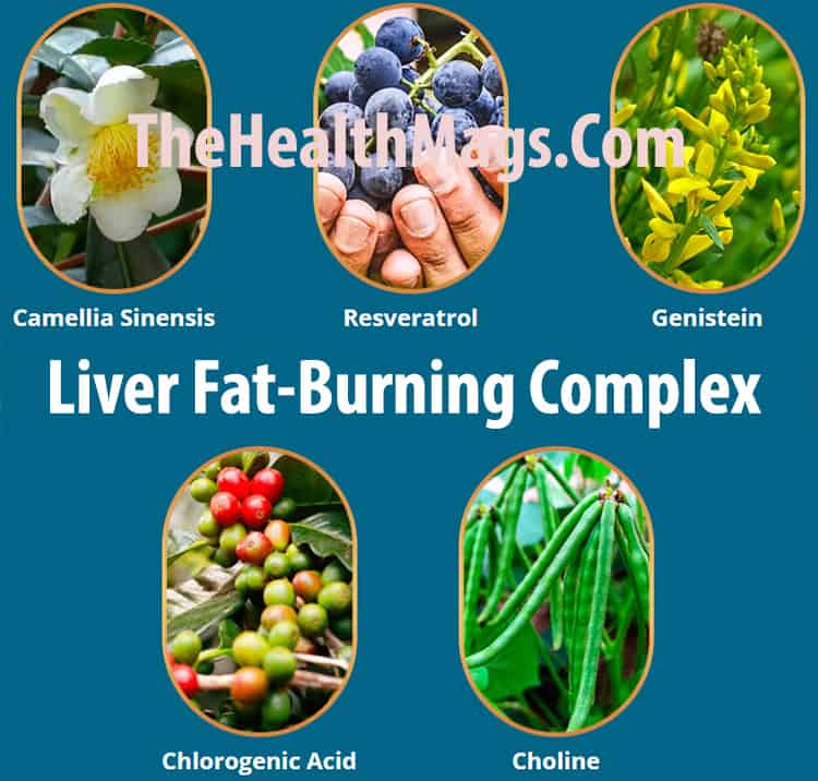 Liv Pure - Liver Fat-Burning Complex