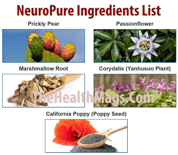 NeuroPure Ingredients