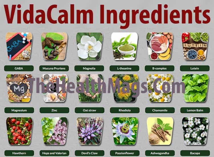 VidaCalm Ingredients