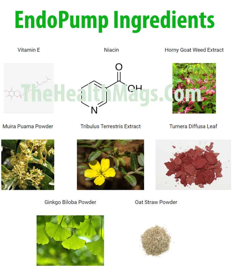 EndoPump Supplement Ingredients
