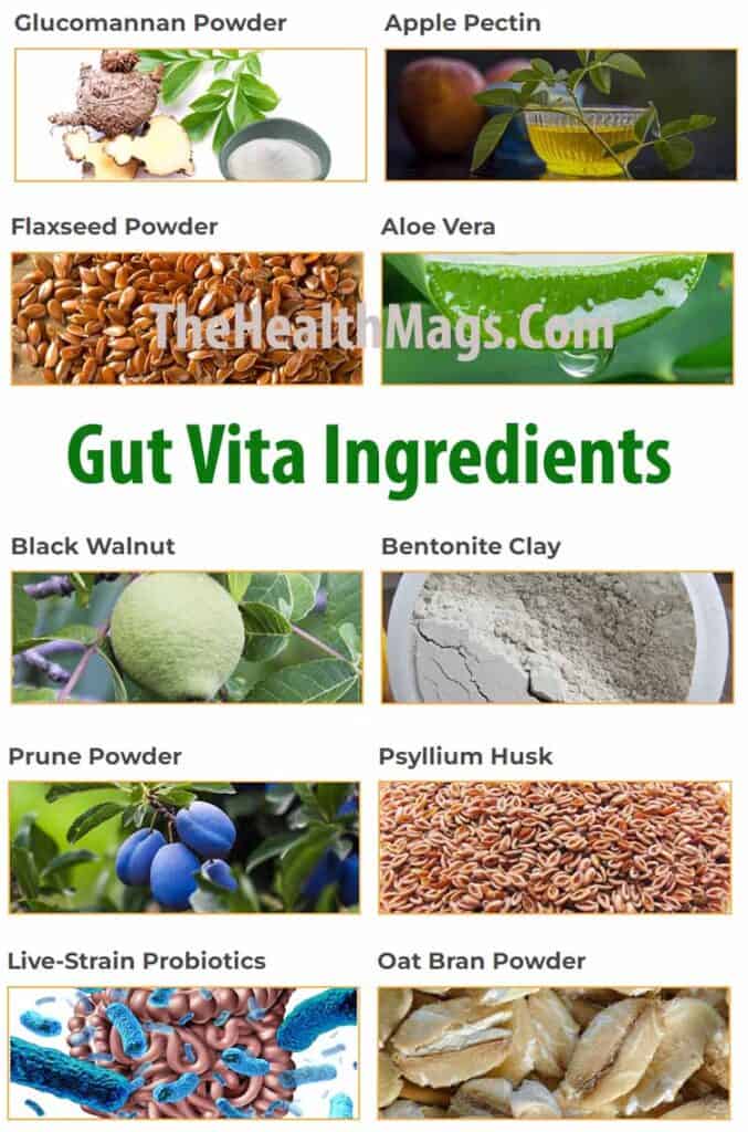 Gut Vita Ingredients