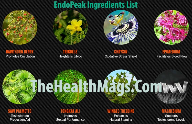 EndoPeak Ingredients