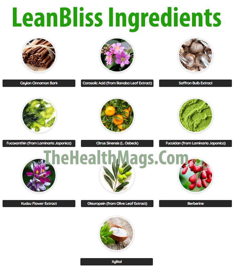 LeanBliss Ingredients List