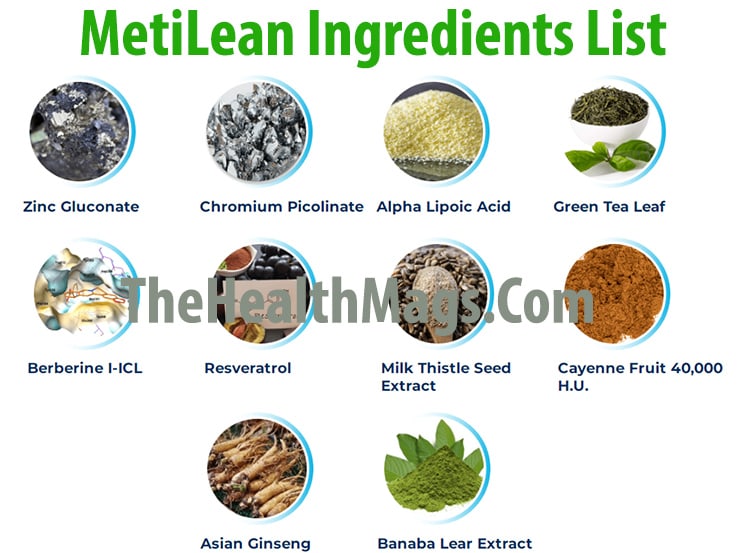 MetiLean Ingredients List
