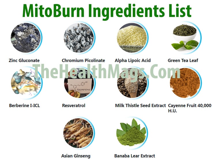 Mitoburn Ingredients