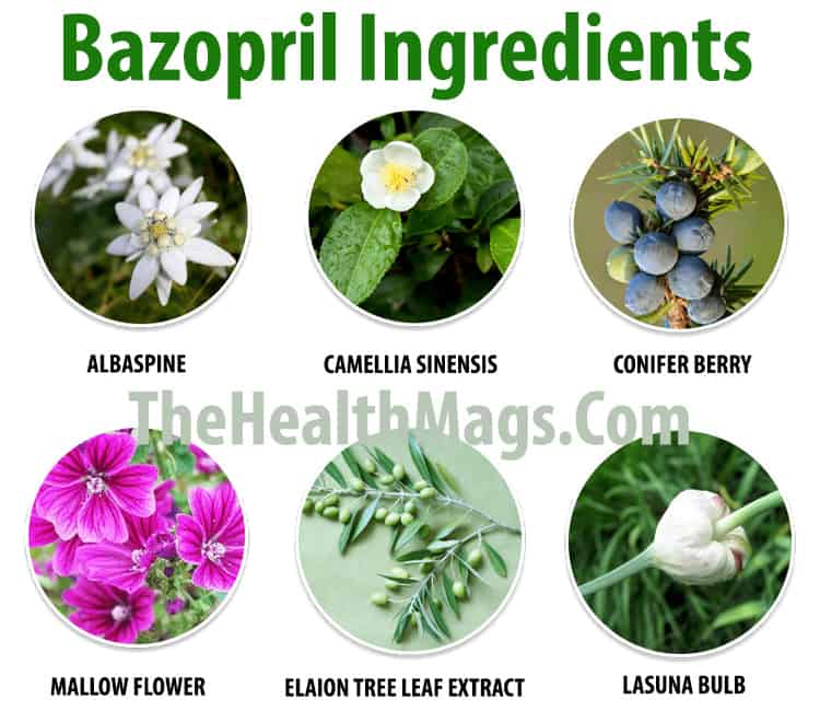 Bazopril Ingredients