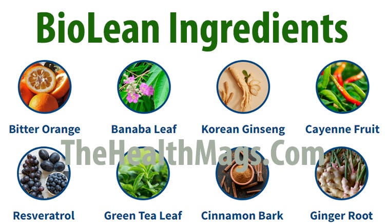 BioLean Ingredients