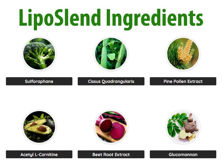 LipoSlend Ingredients and Its Benefits