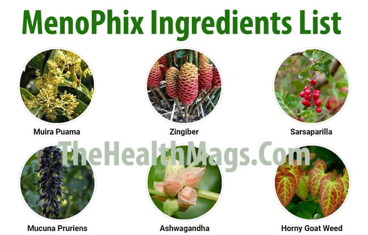 Menophix Ingredients List
