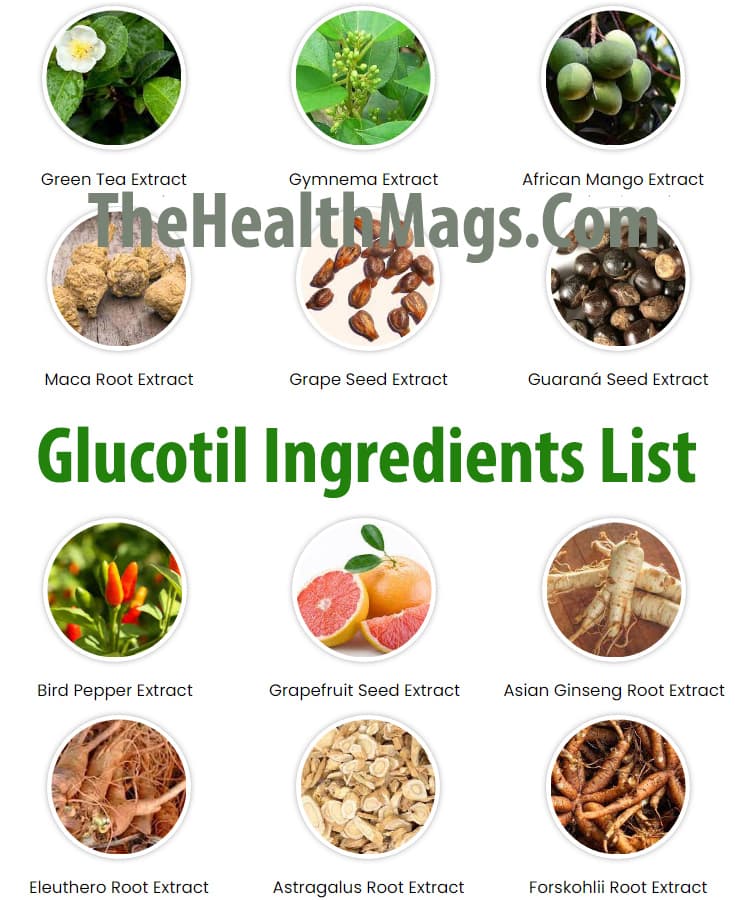 What Are The Ingredients Of Glucotil And What Effects Does It Have