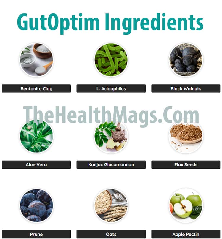 GutOptim ingredients