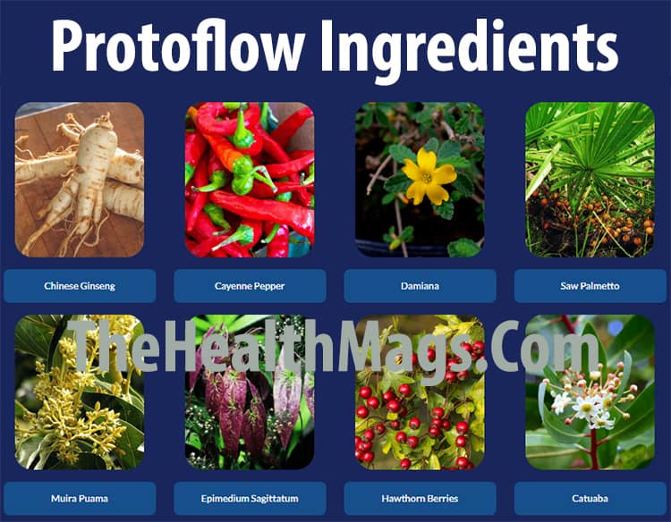 ProtoFlow ingredients